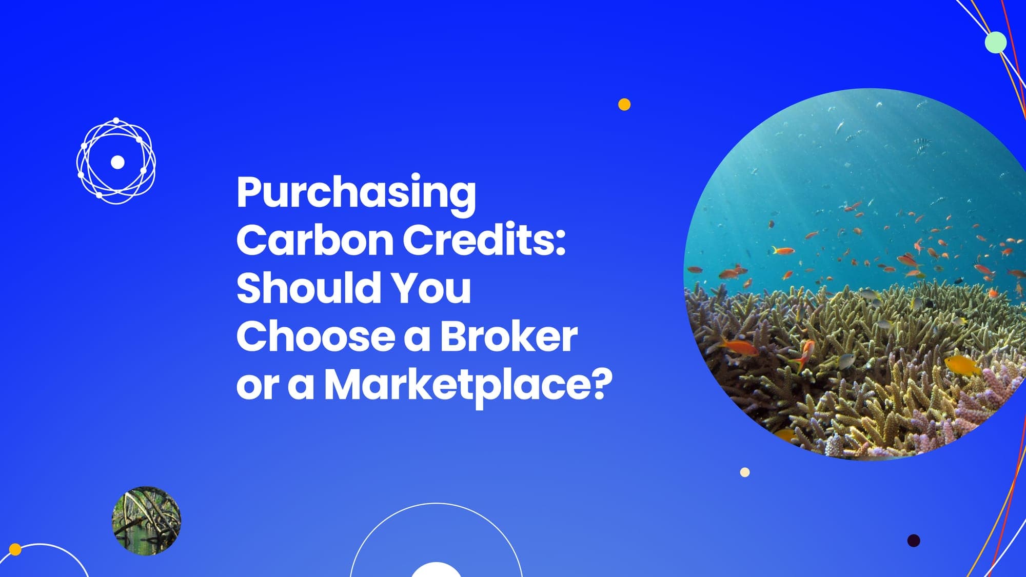 Brokers vs. Carbon Credit Marketplaces in the VCM: Which is Right for Your Business?