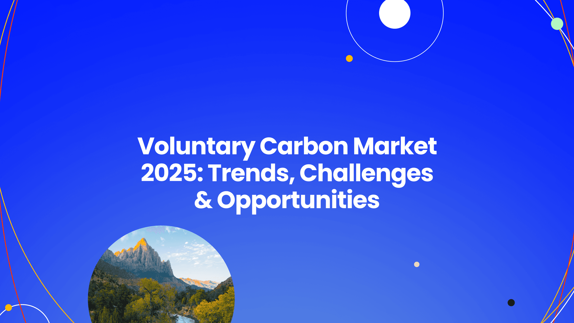 The State of the Voluntary Carbon Market in 2025 | Emerging Trends & Outlook