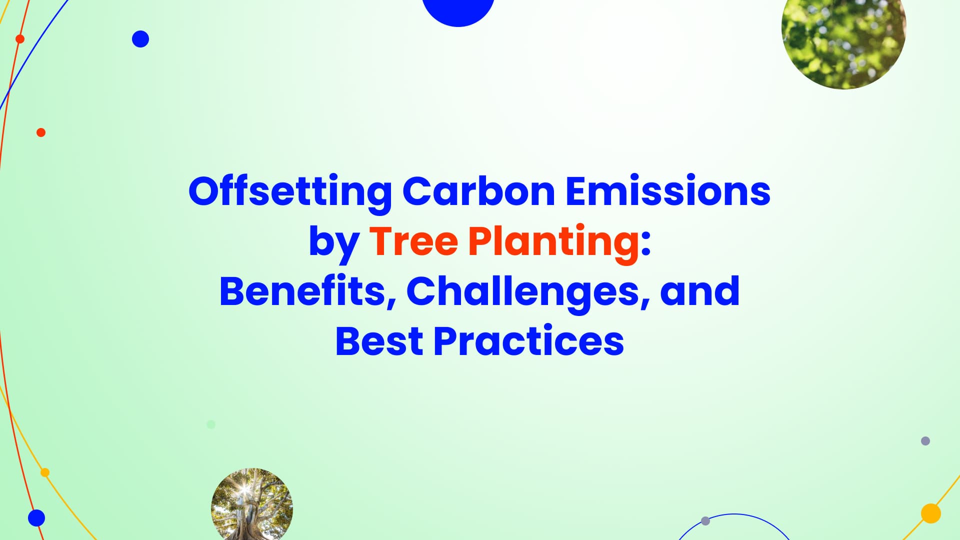 Beyond Tree Planting: How to Ensure Real Impact with Forest-Based Carbon Offsets