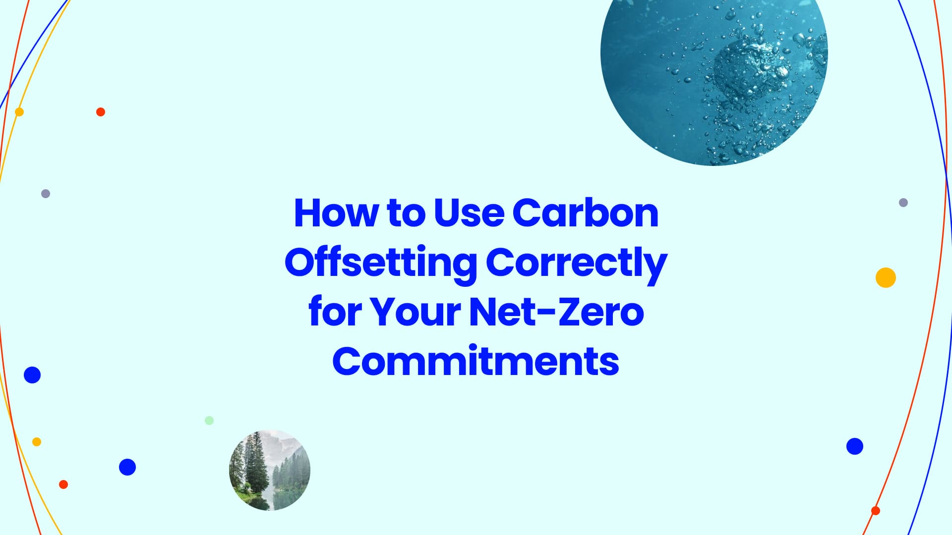 Carbon Offsetting Done Right: A Guide for Businesses Taking Climate Action Seriously