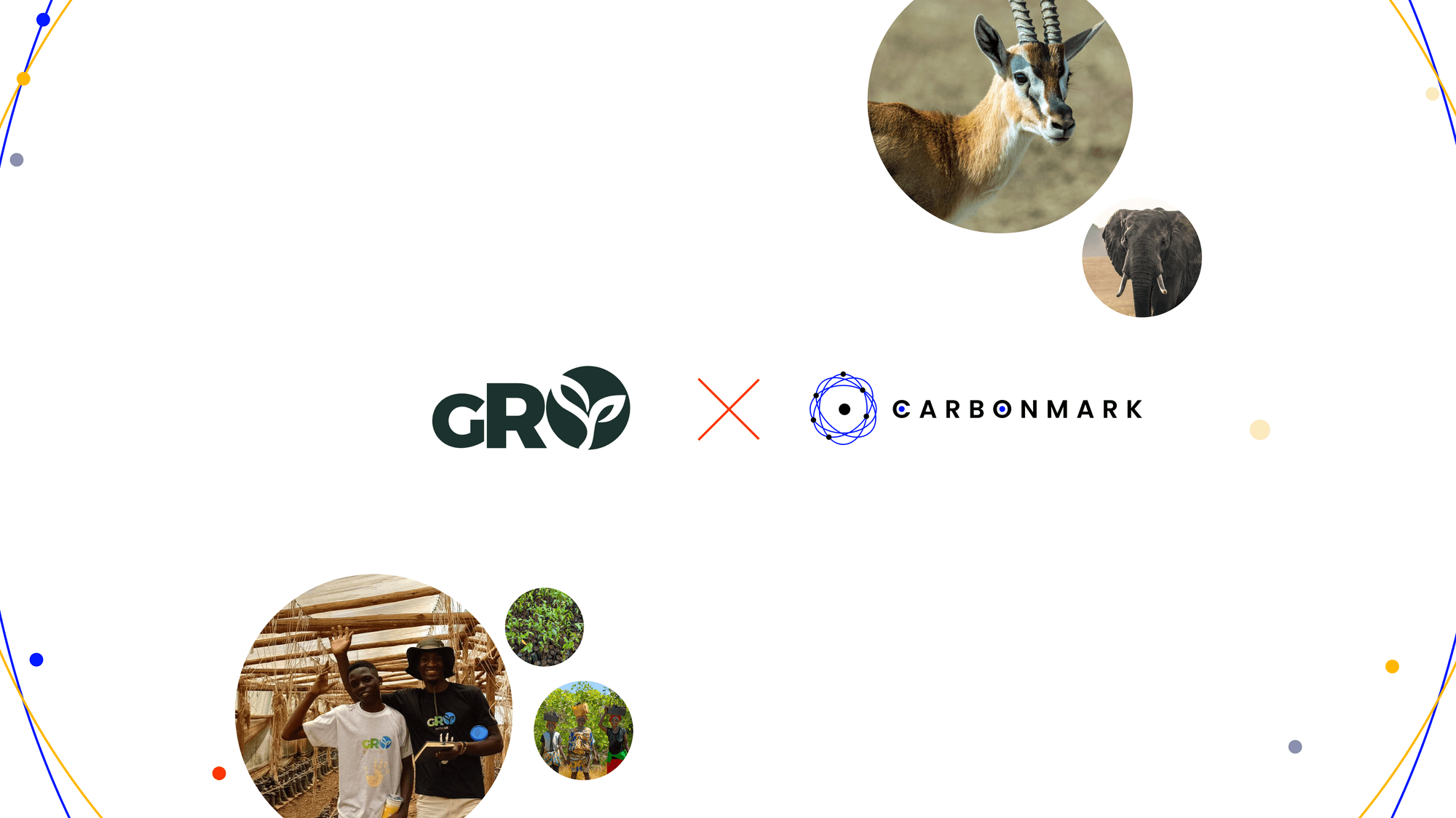 Carbonmark Partners with GRO Foundation to Facilitate Trade of Ex-Ante Credits and Drive Climate Innovation in Uganda