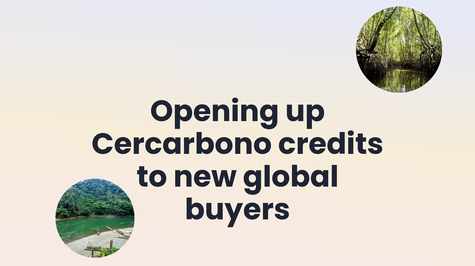 Opening Up Cercarbono Credits to New Global Buyers
