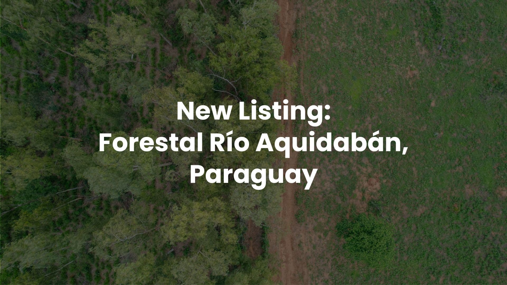 Forestal Río Aquidabán: Where Reforestation, Ranching, and Regeneration Converge