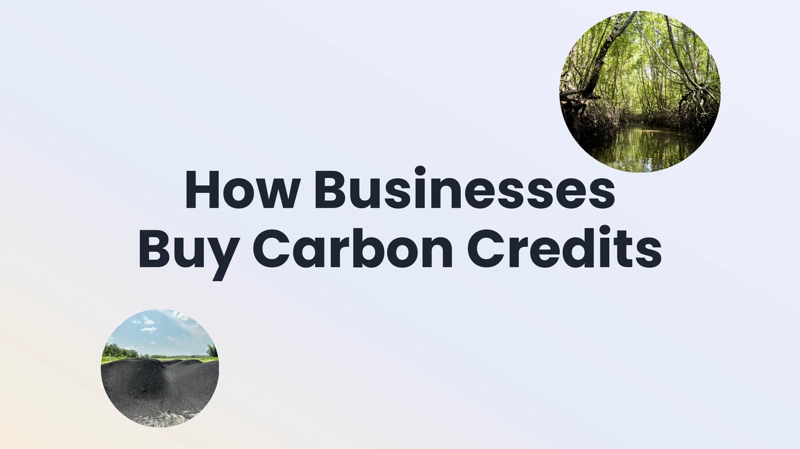 How Businesses Buy Carbon Credits: Quantity, Cost, Quality, and Proof