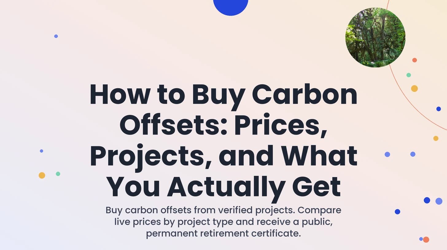 How to Buy Carbon Offsets: Prices, Projects, and What You Actually Get