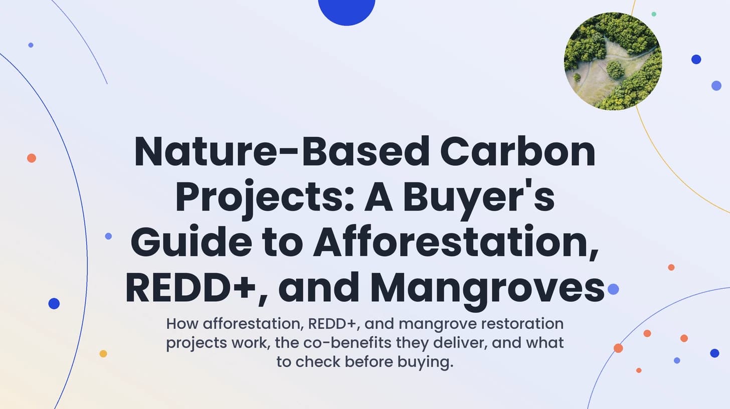 Nature-Based Carbon Projects: A Buyer's Guide to Afforestation, REDD+, and Mangroves