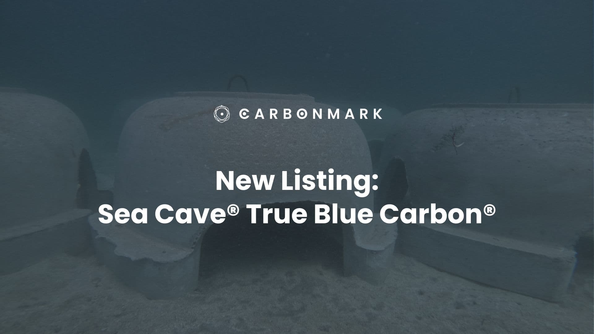Sea Cave® True Blue Carbon®: Where Ocean Restoration, Climate Action, and Community Resilience Converge