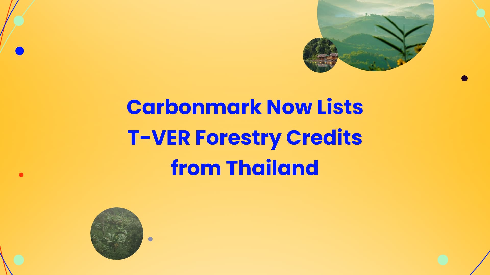 Thailand’s T-VER Forestry Carbon Credits Now Available via Carbonmark API