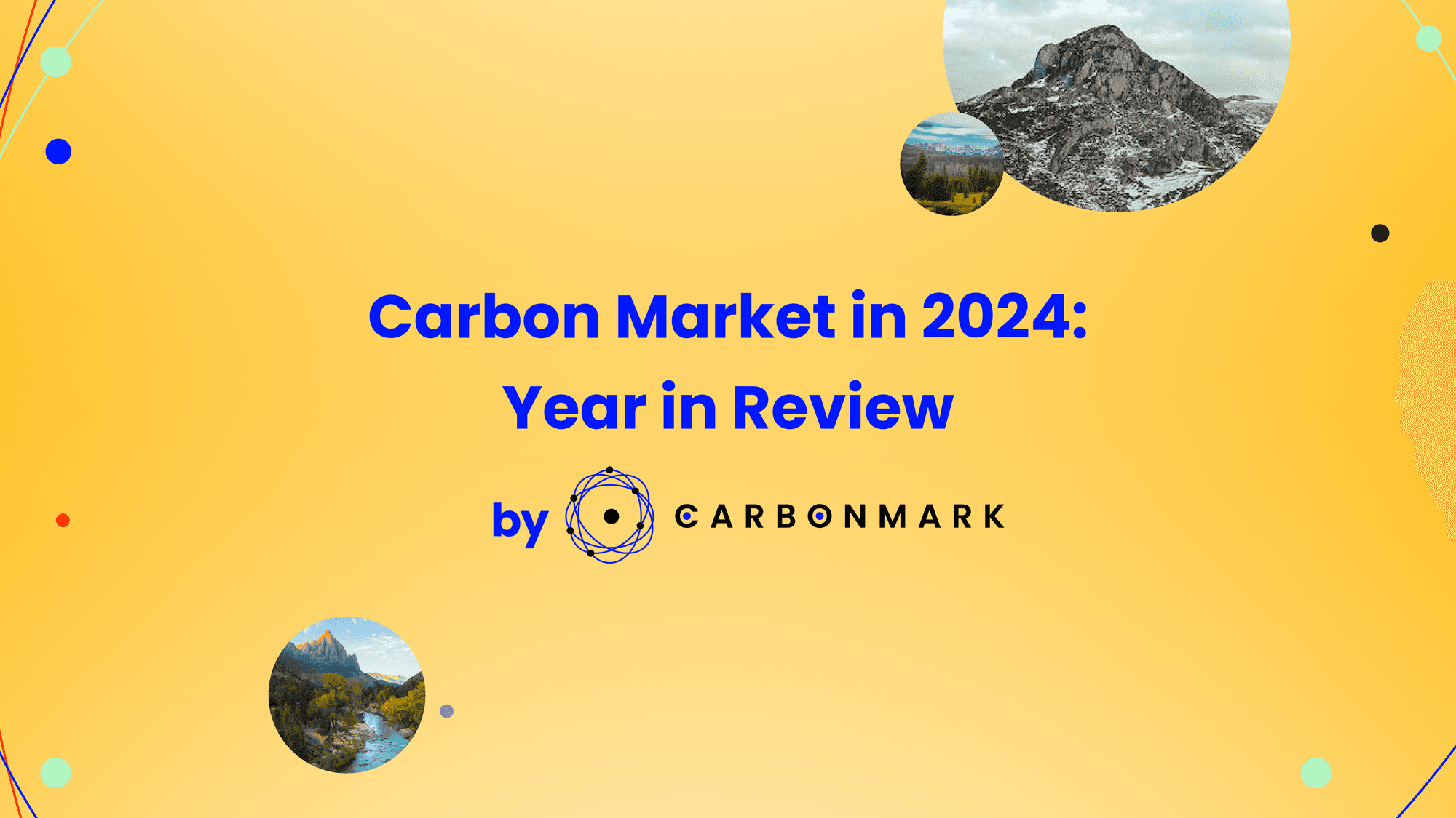 The Carbon Market in 2024: A Year in Review and Emerging Trends