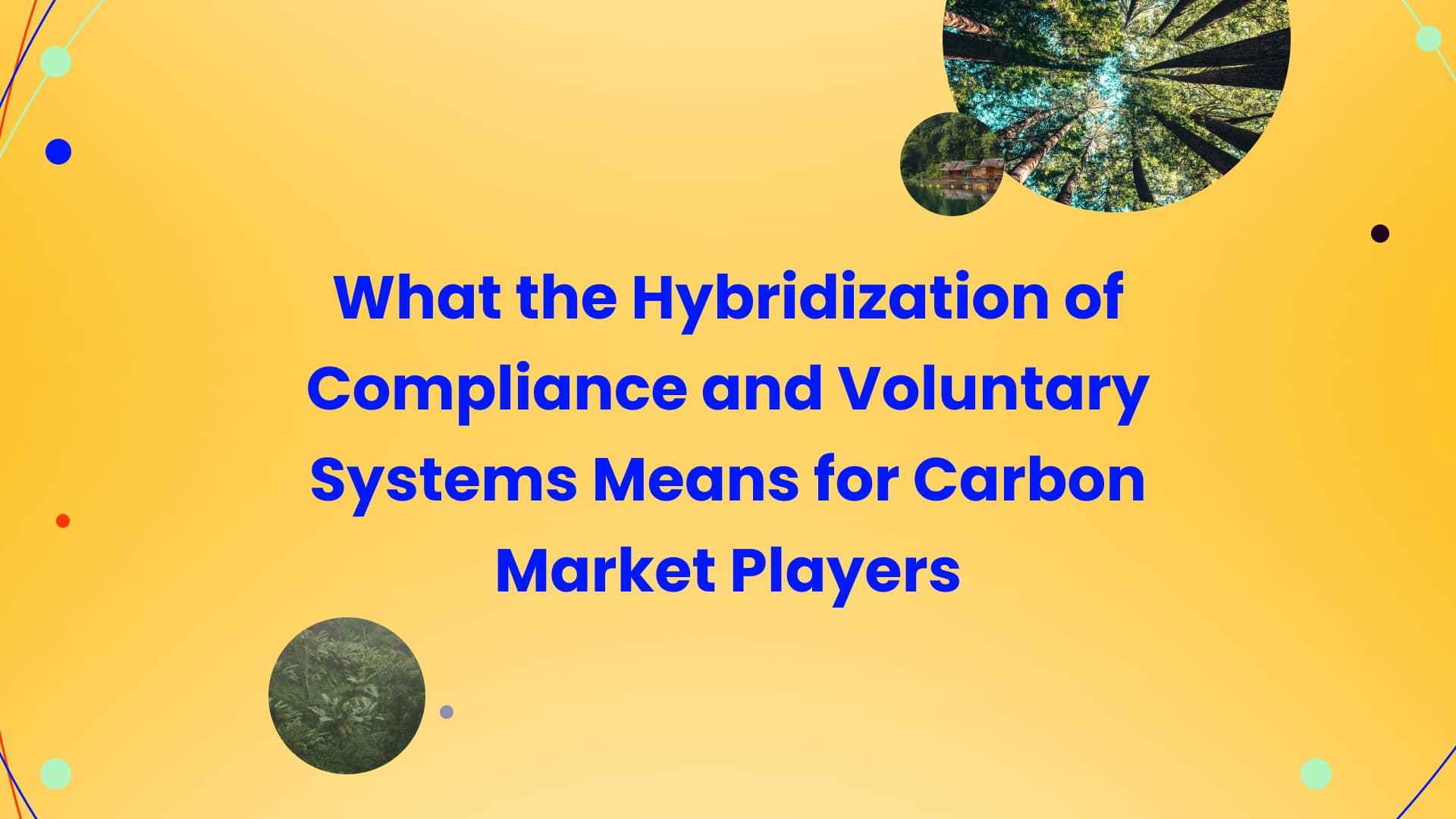 How the Convergence Between Compliance and Voluntary Carbon Markets Is Shaping the Next Era of Climate Finance