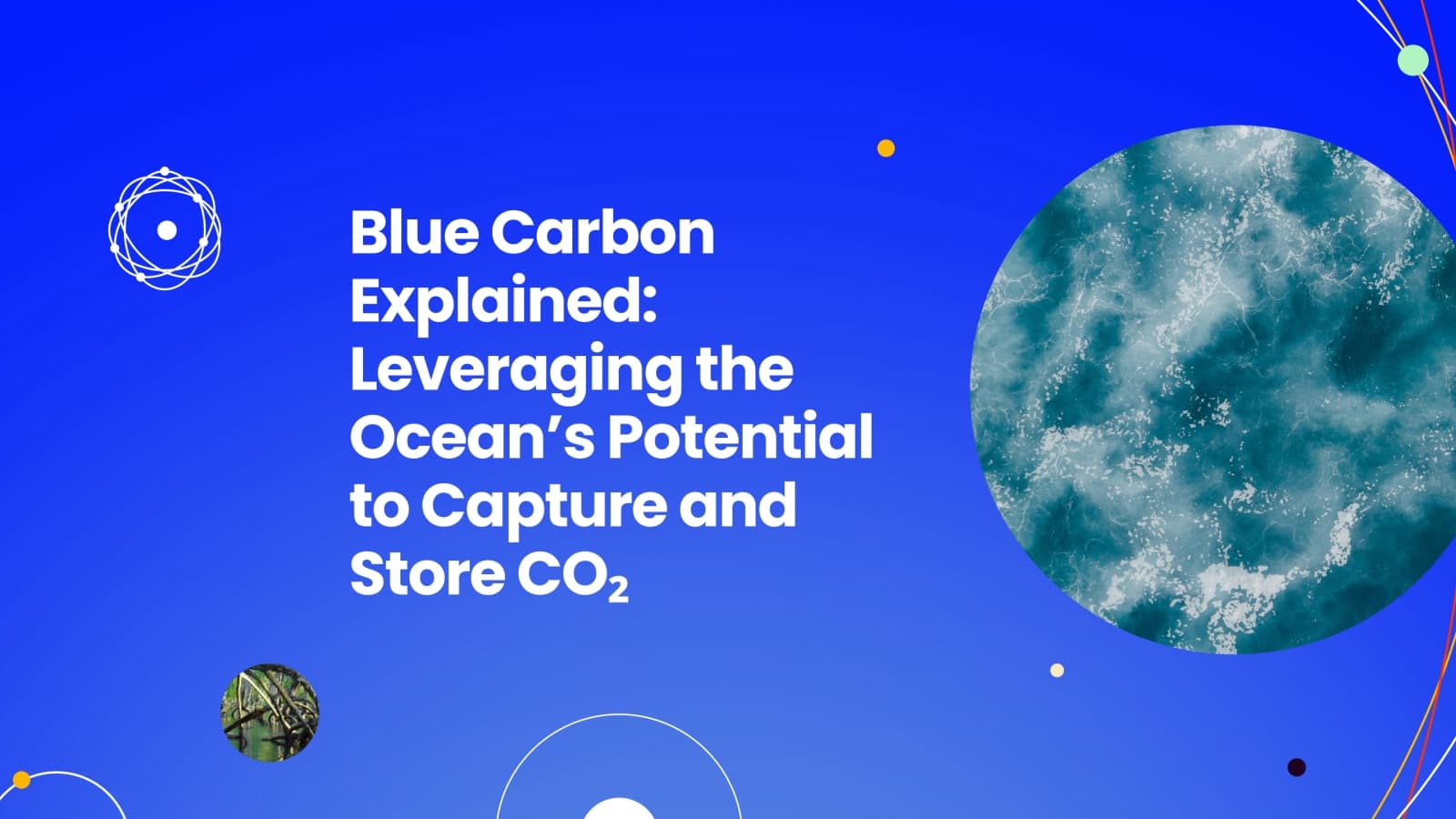 Beneath the Waves: The Essential Role of Blue Carbon Projects in Climate Change Mitigation