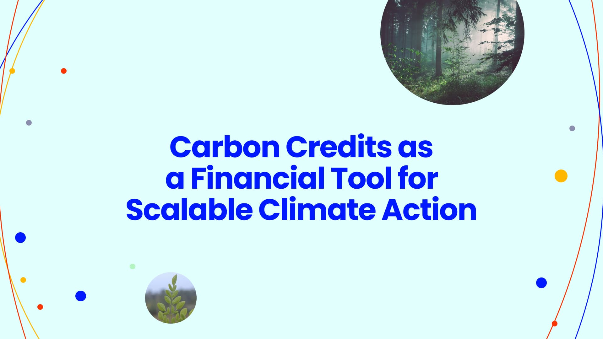 The Role of Carbon Credits in Climate Finance and Climate Investment