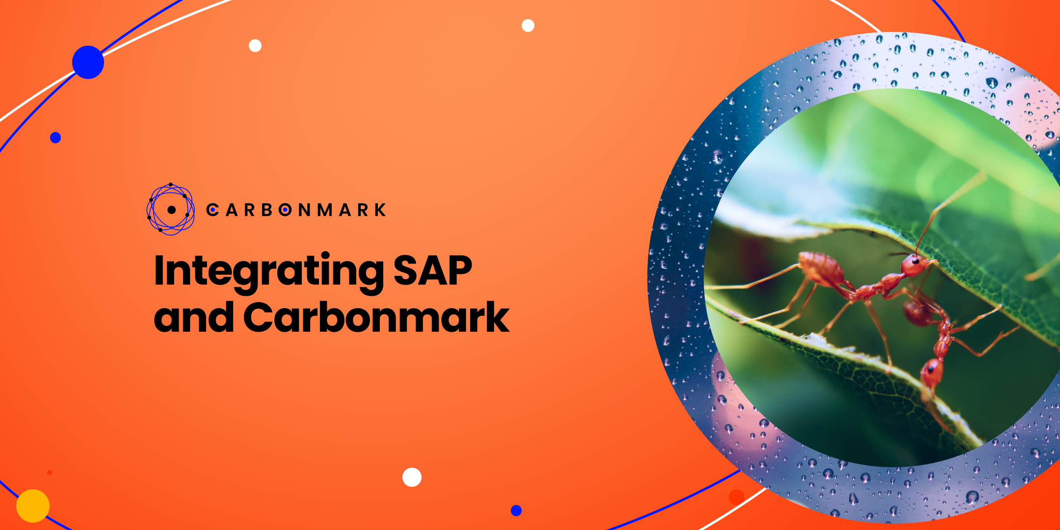 Integrating SAP and Carbonmark